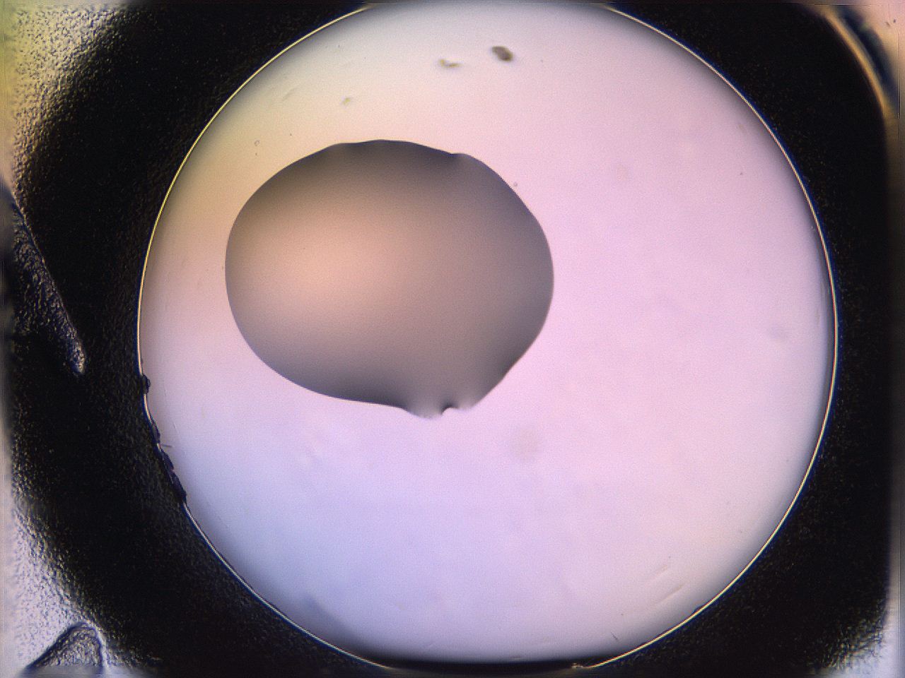 05qn_A11_ImagerDefaults_1.jpg