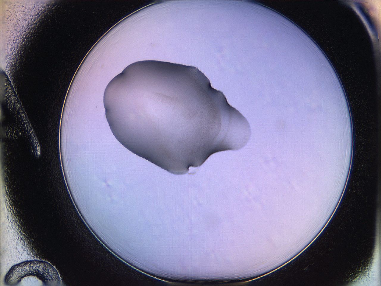 05qn_A12_ImagerDefaults_3.jpg