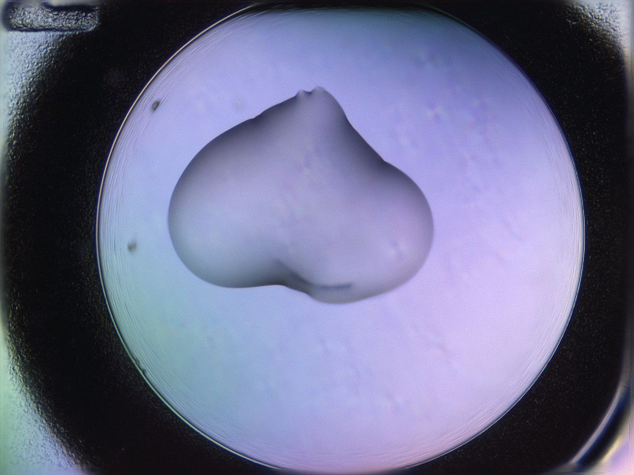 05qn_A12_ImagerDefaults_1.jpg