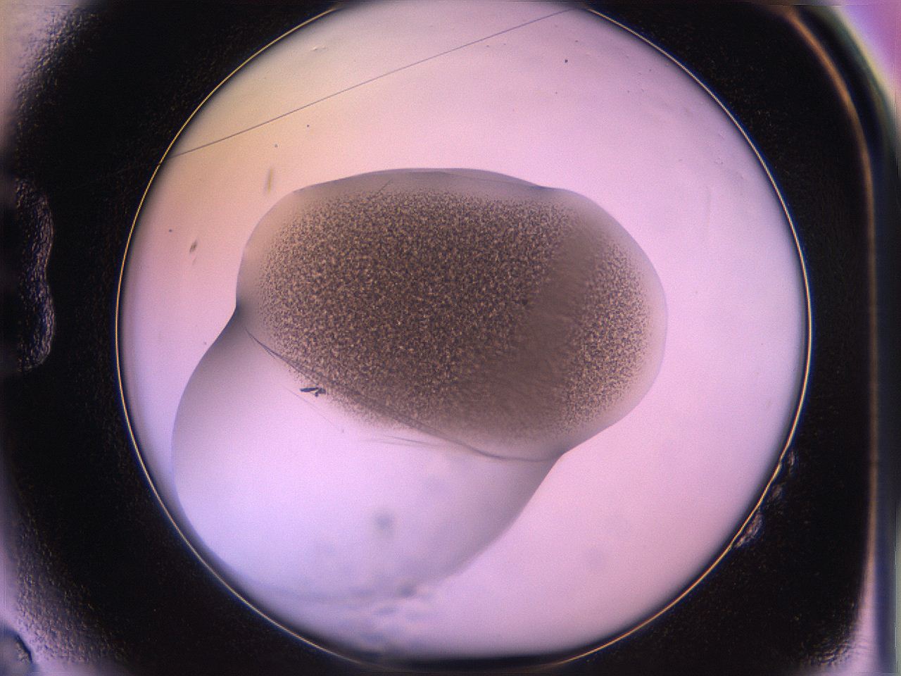 05qn_B2_ImagerDefaults_3.jpg