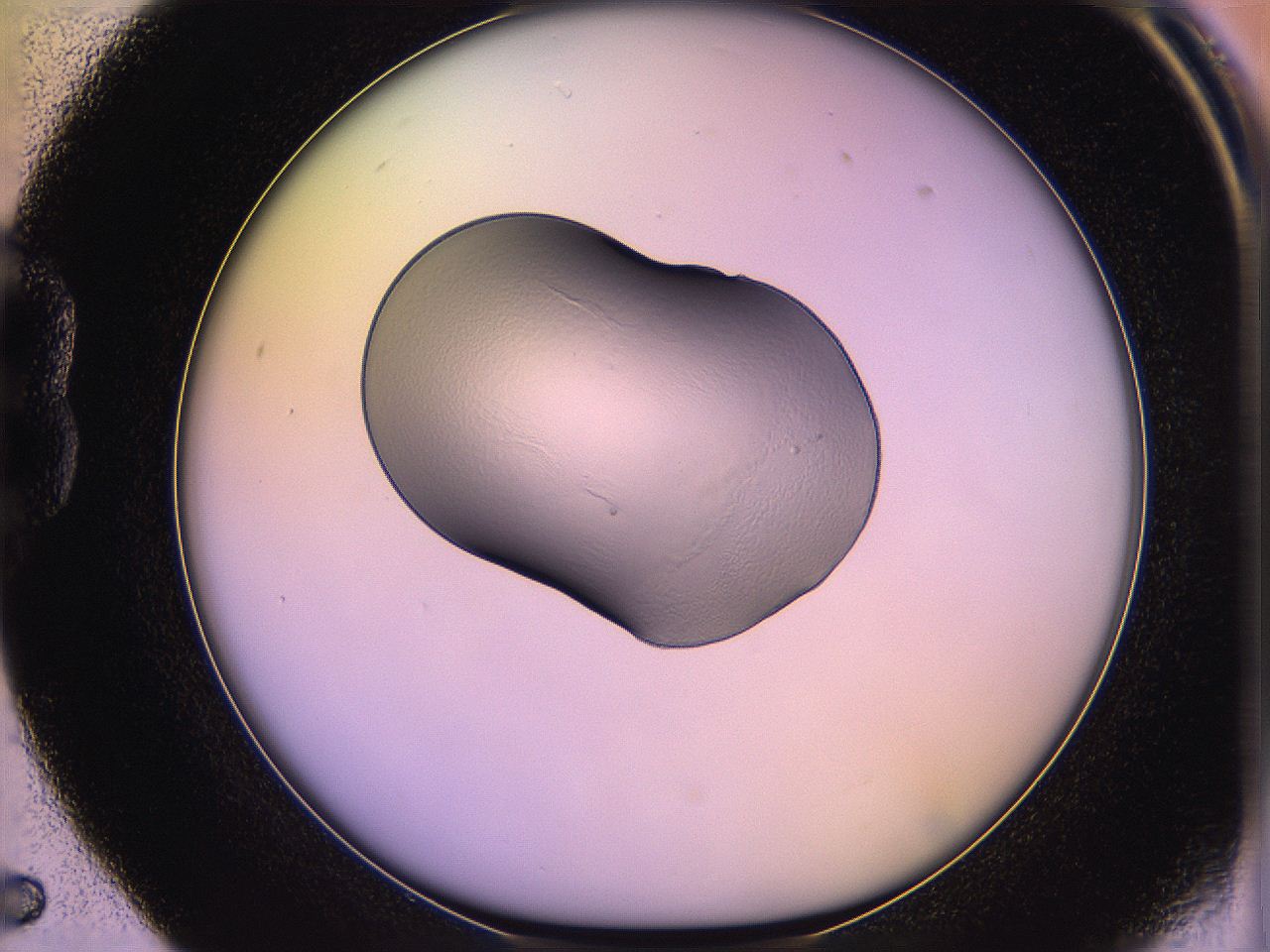 05qn_B5_ImagerDefaults_2.jpg