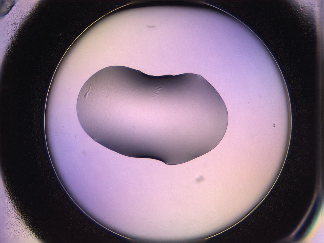 05qn_B5_ImagerDefaults_1.jpg