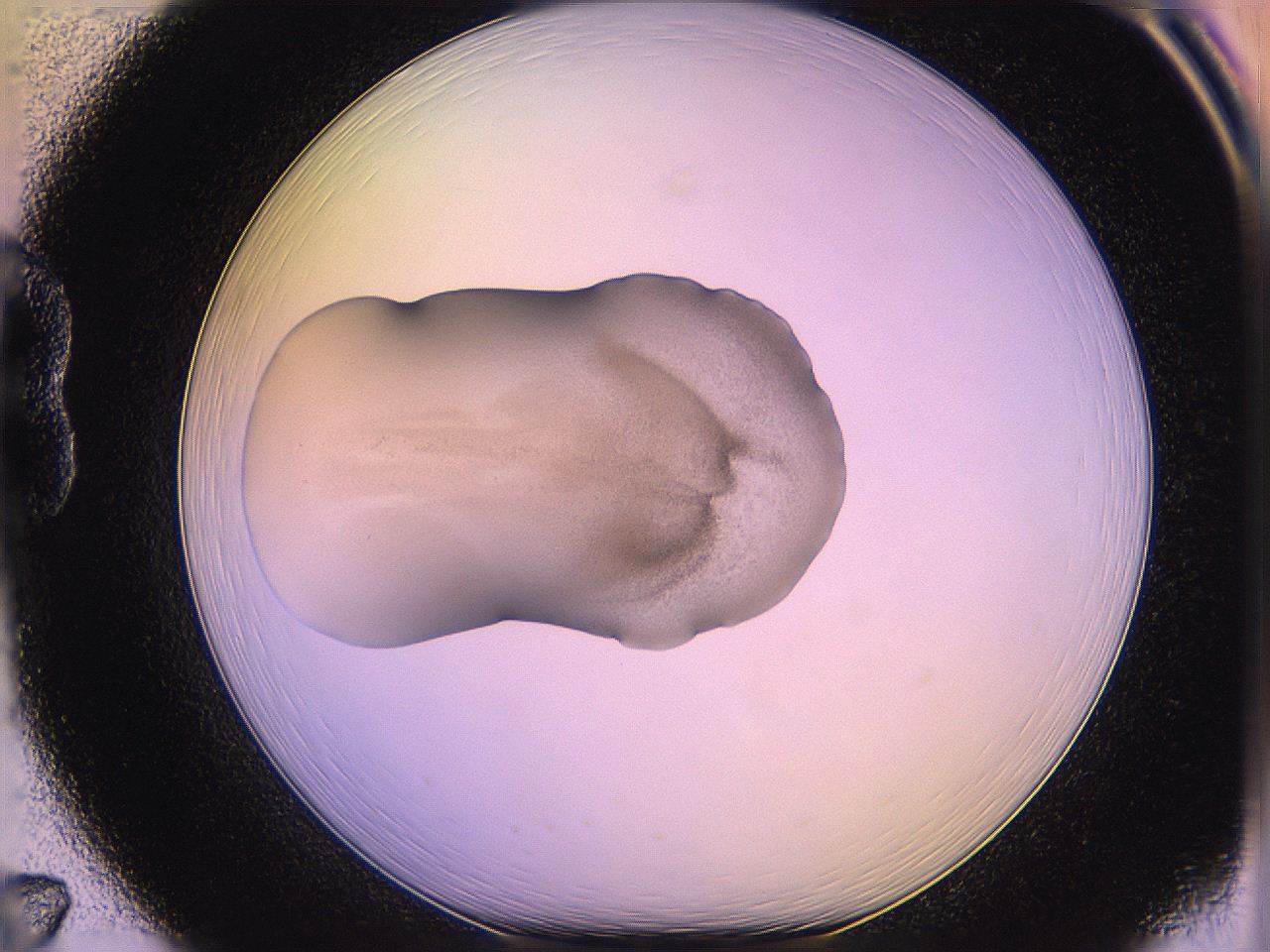 05qn_B7_ImagerDefaults_3.jpg