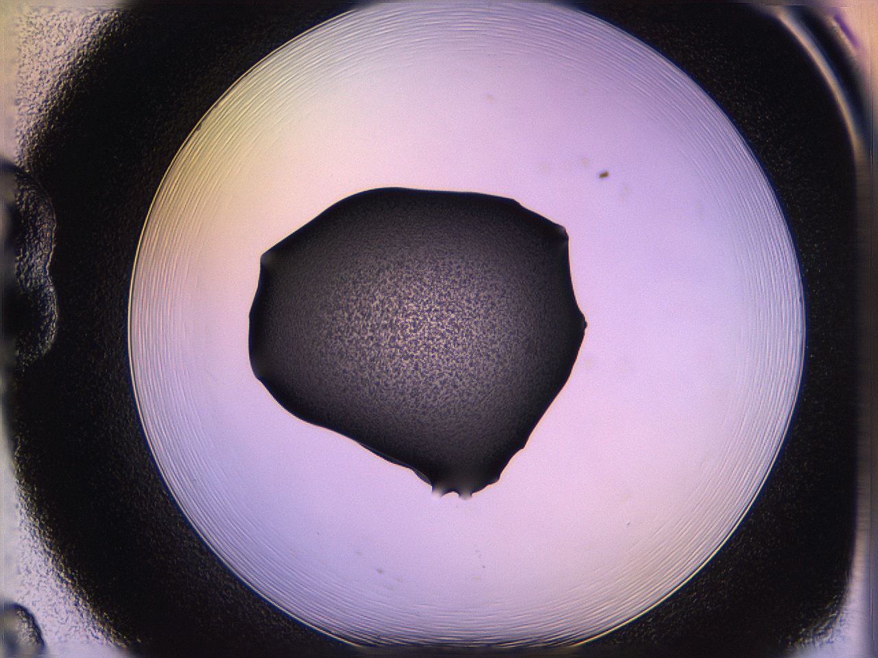 05qn_B8_ImagerDefaults_3.jpg