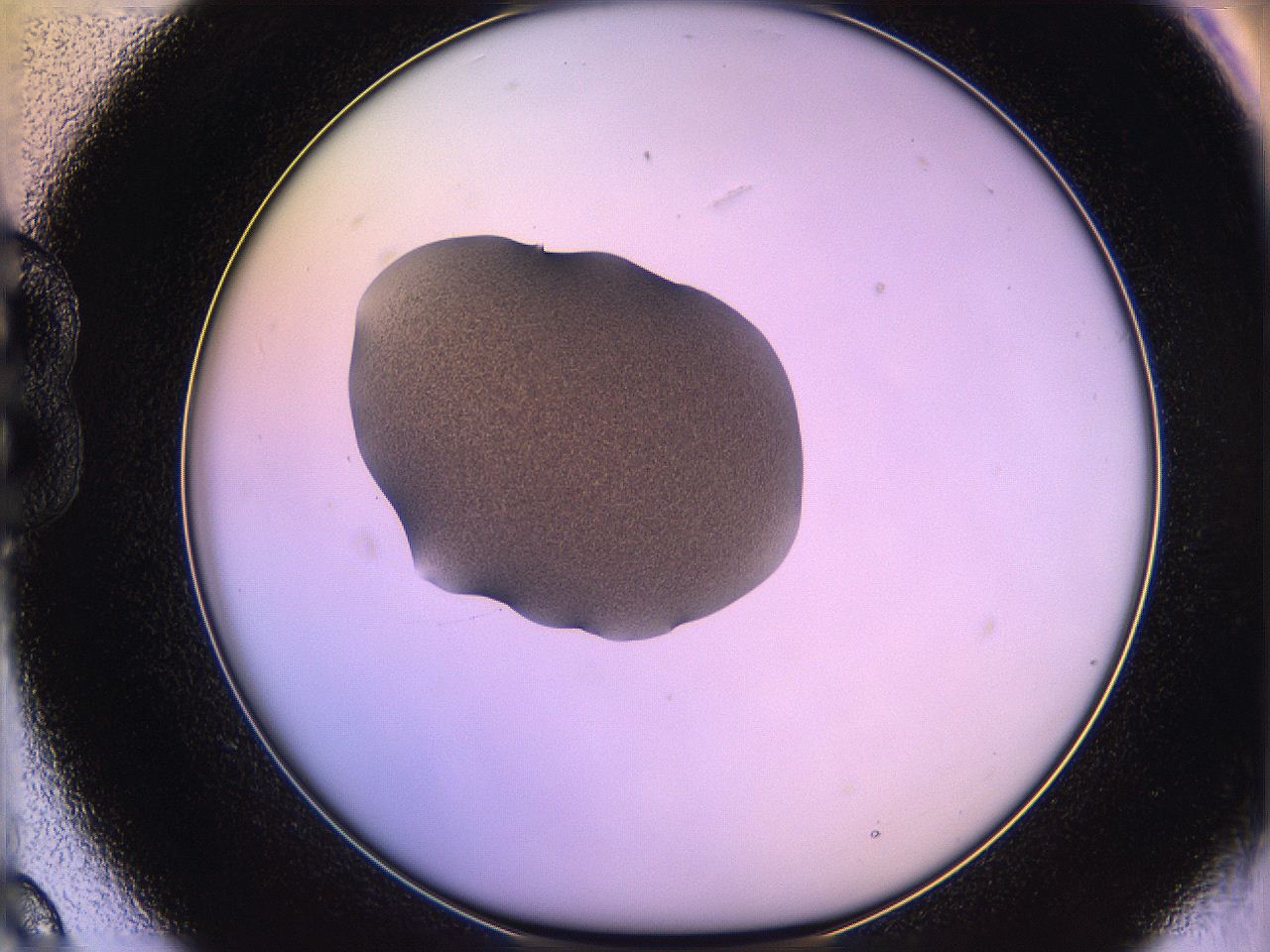 05qn_B9_ImagerDefaults_3.jpg