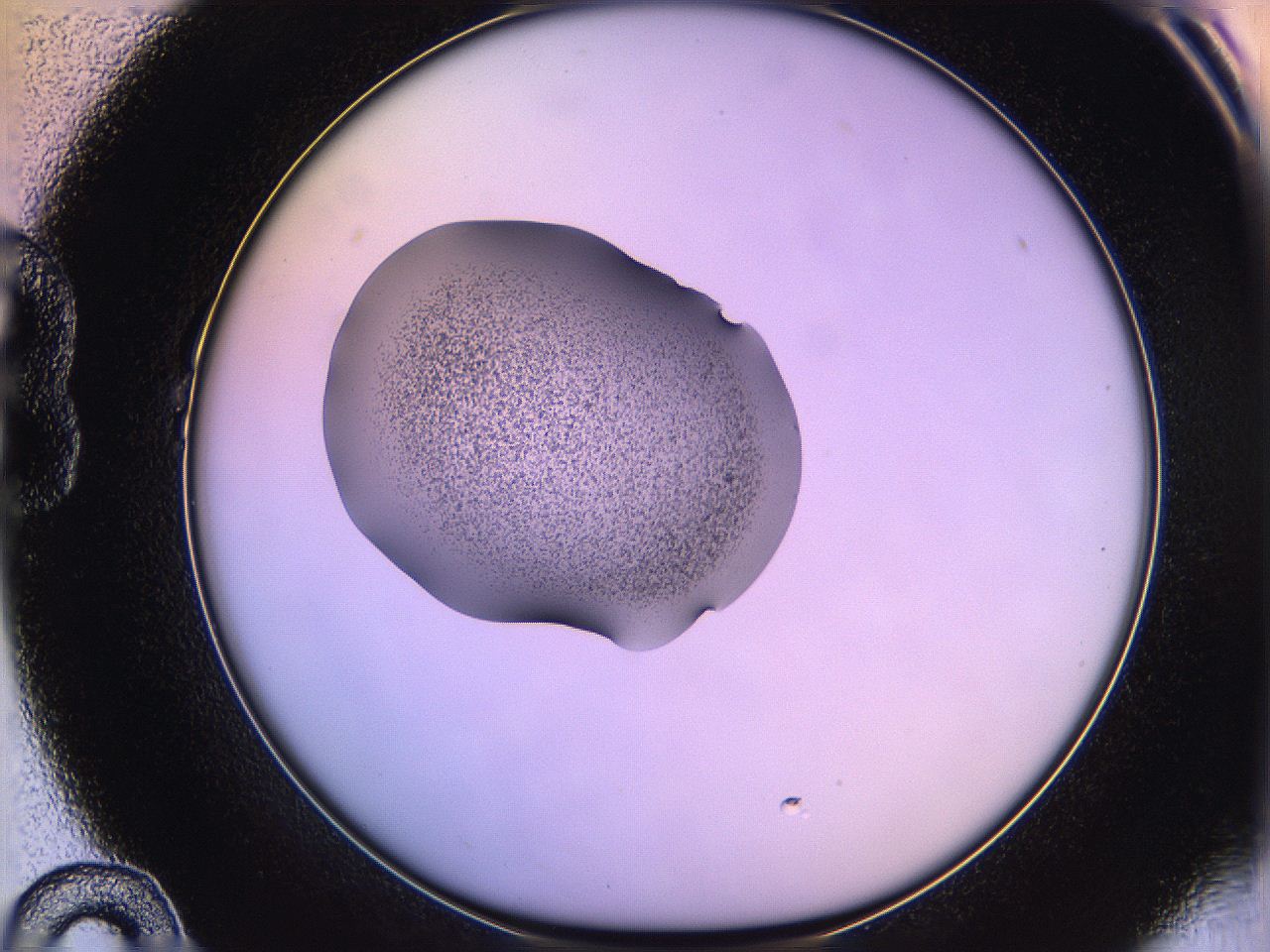 05qn_B10_ImagerDefaults_3.jpg