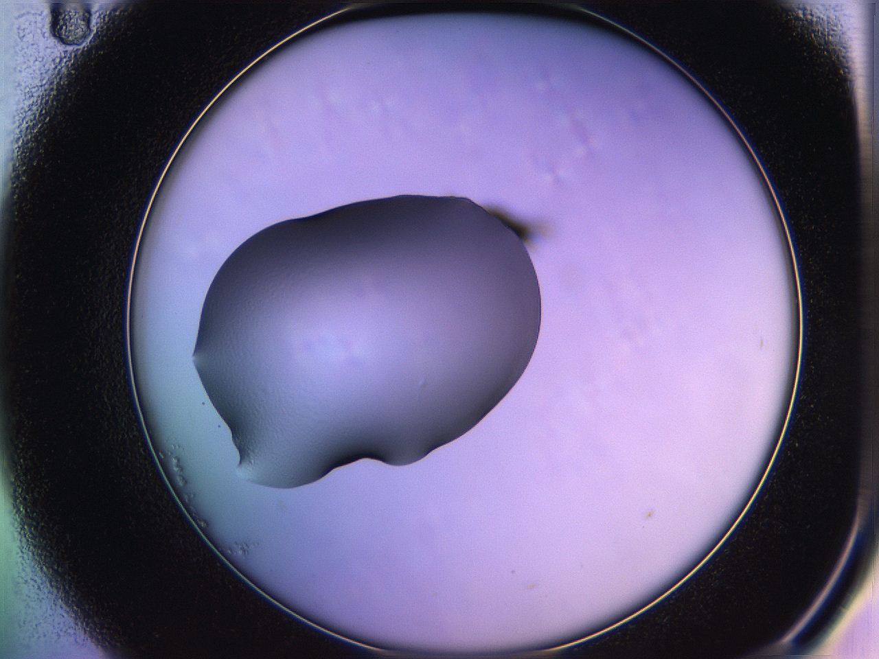 05qn_B11_ImagerDefaults_1.jpg