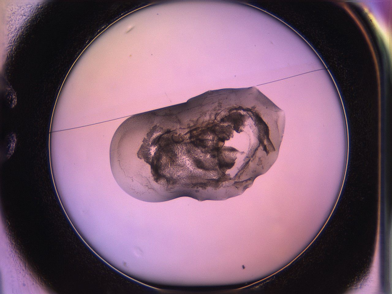05qn_C1_ImagerDefaults_3.jpg