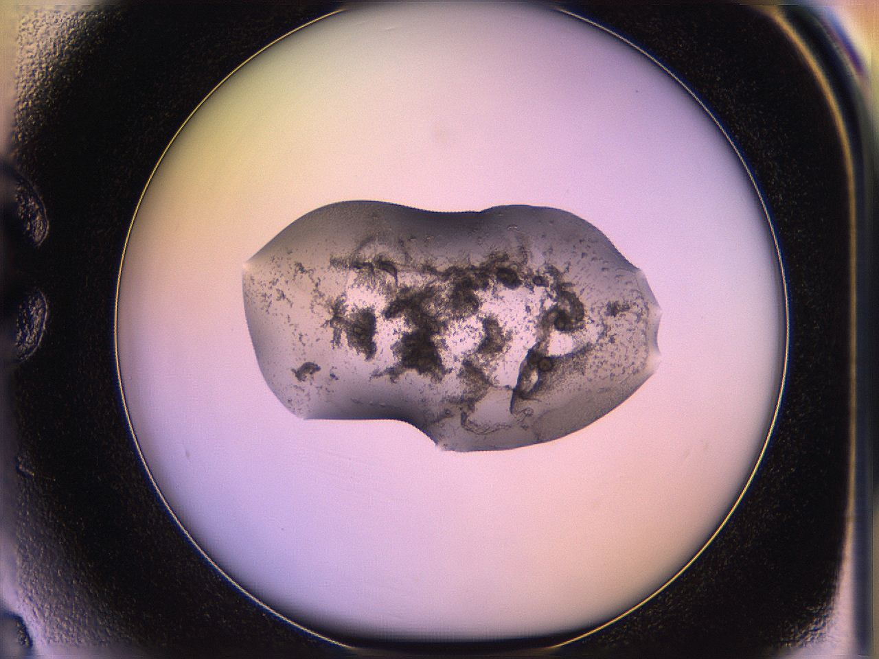 05qn_C3_ImagerDefaults_3.jpg