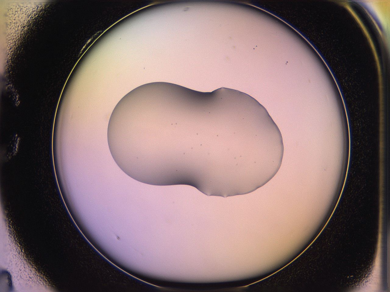 05qn_C4_ImagerDefaults_2.jpg