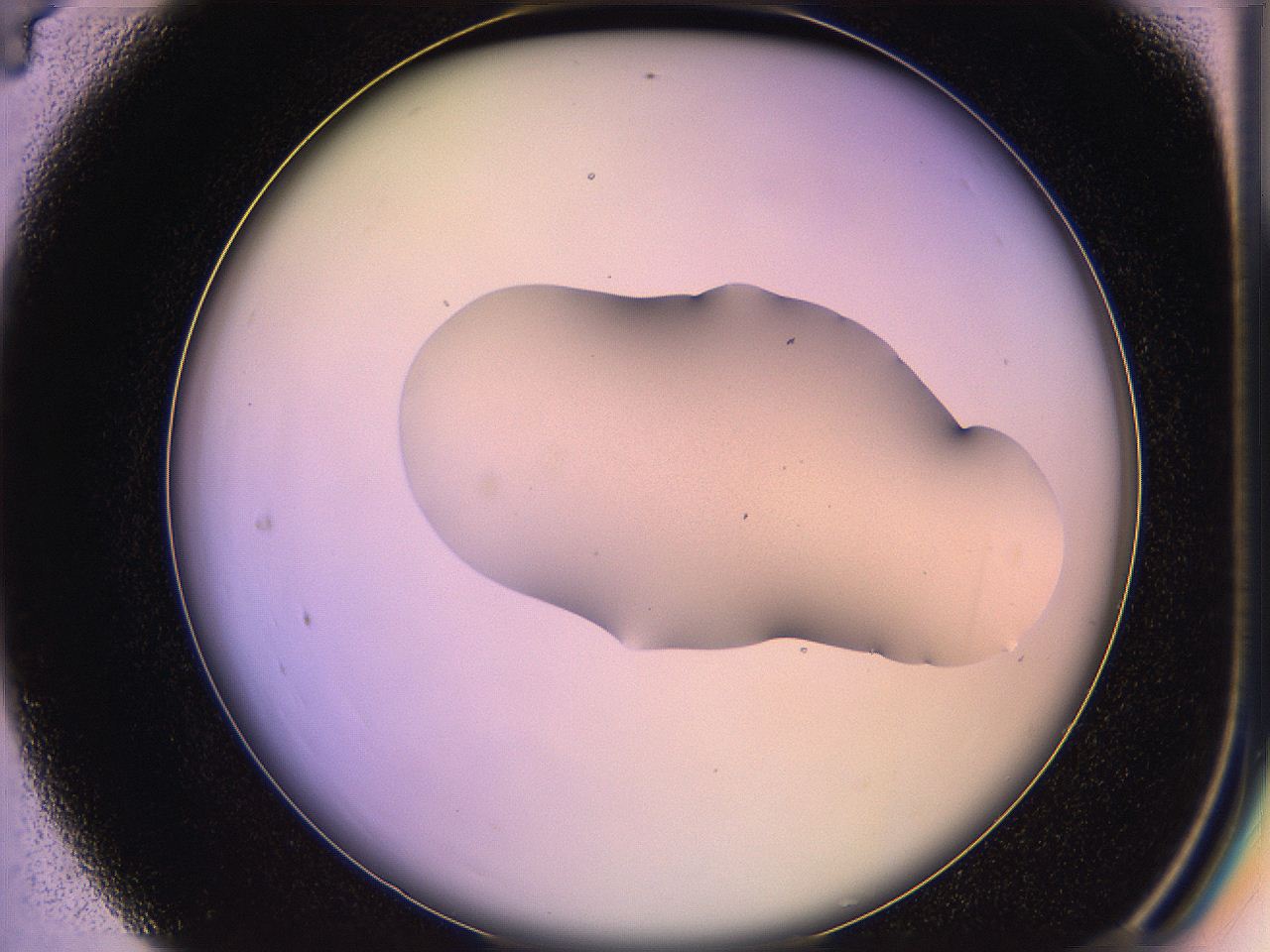 05qn_C4_ImagerDefaults_1.jpg