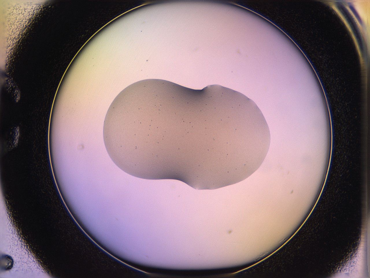 05qn_C5_ImagerDefaults_2.jpg
