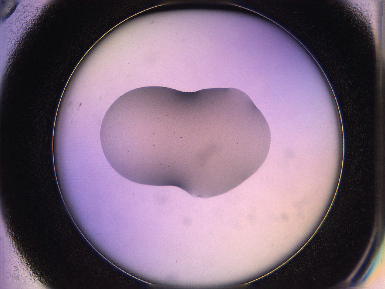 05qn_C5_ImagerDefaults_3.jpg