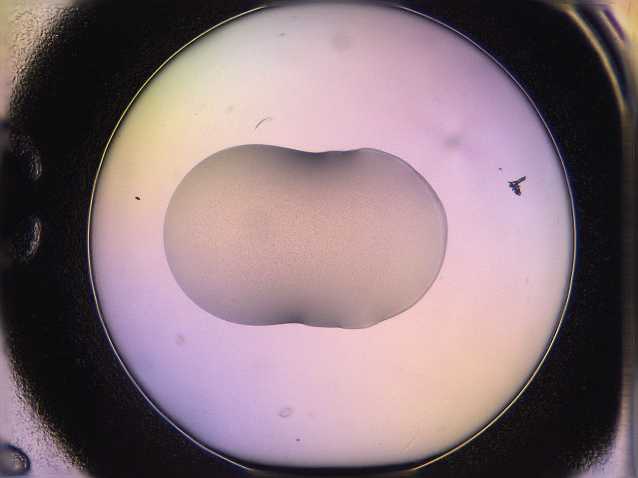 05qn_C6_ImagerDefaults_3.jpg