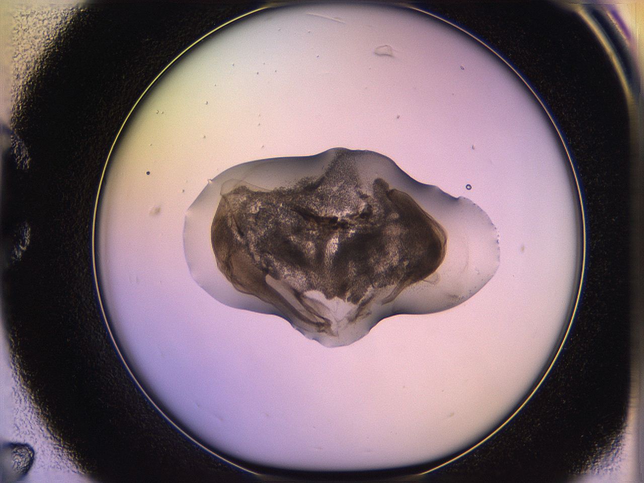 05qn_C7_ImagerDefaults_3.jpg