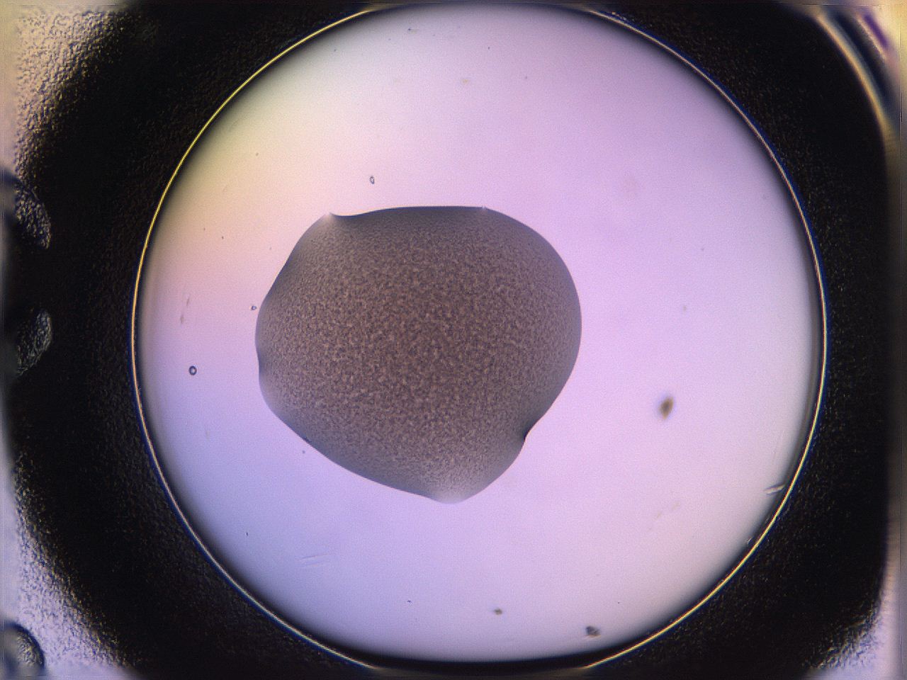 05qn_C8_ImagerDefaults_3.jpg