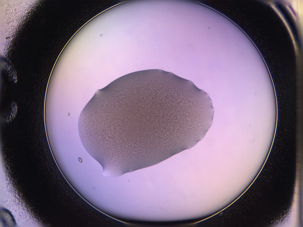 05qn_C9_ImagerDefaults_3.jpg