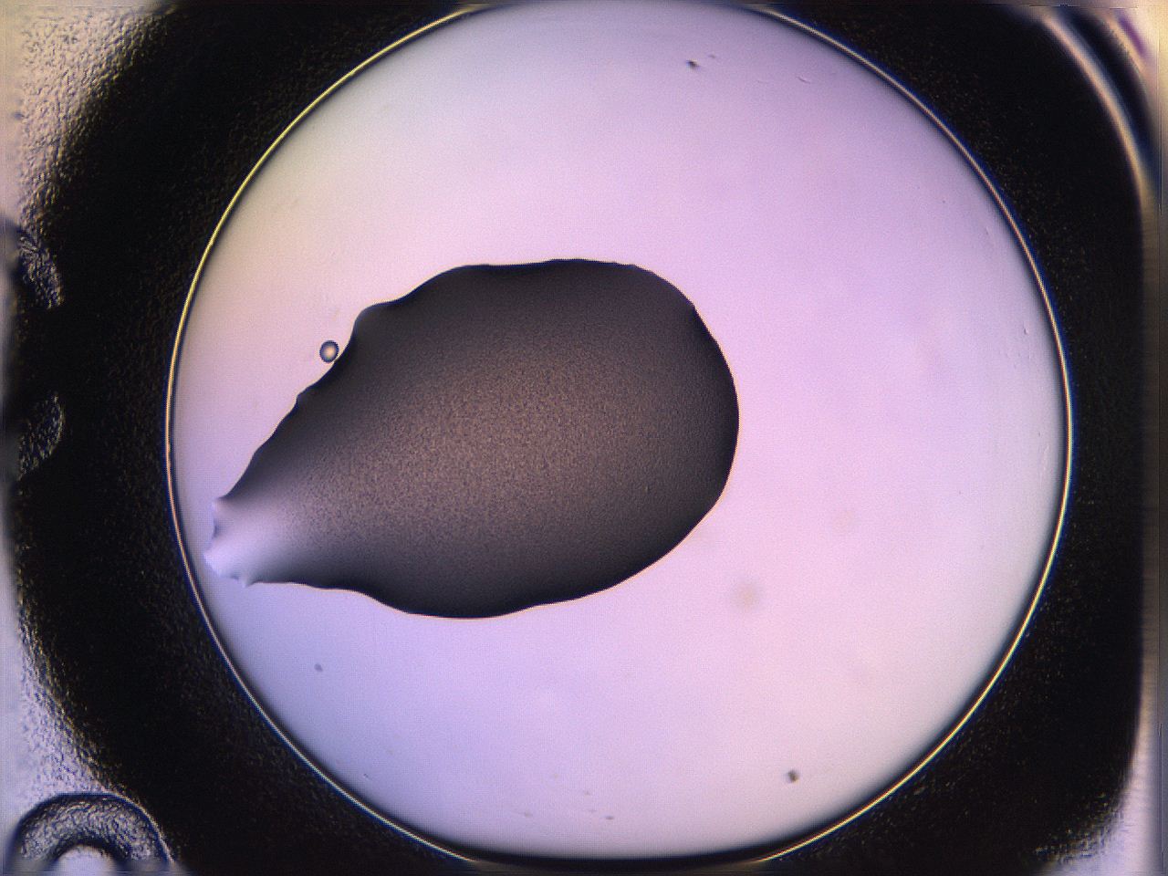 05qn_C10_ImagerDefaults_3.jpg