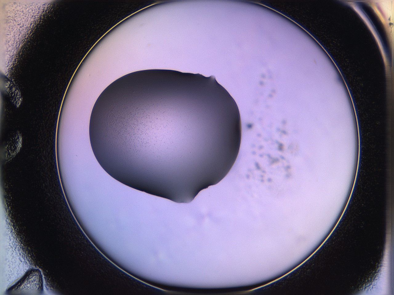 05qn_C11_ImagerDefaults_3.jpg