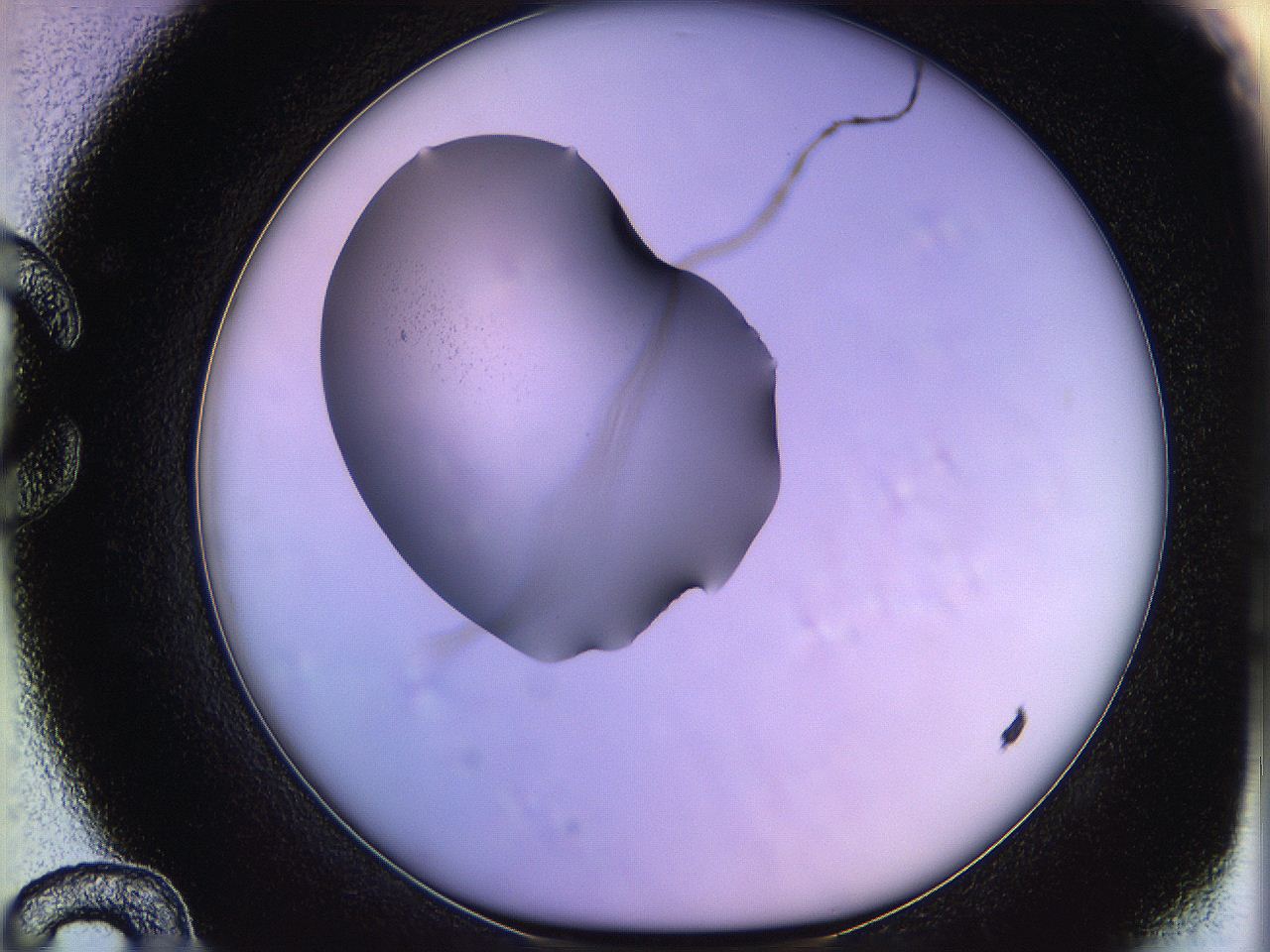 05qn_C12_ImagerDefaults_3.jpg