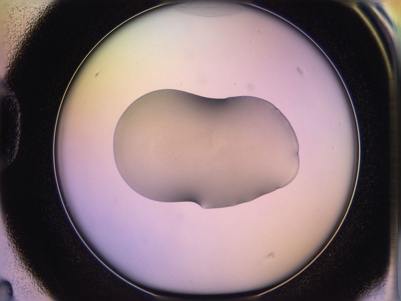05qn_D4_ImagerDefaults_3.jpg