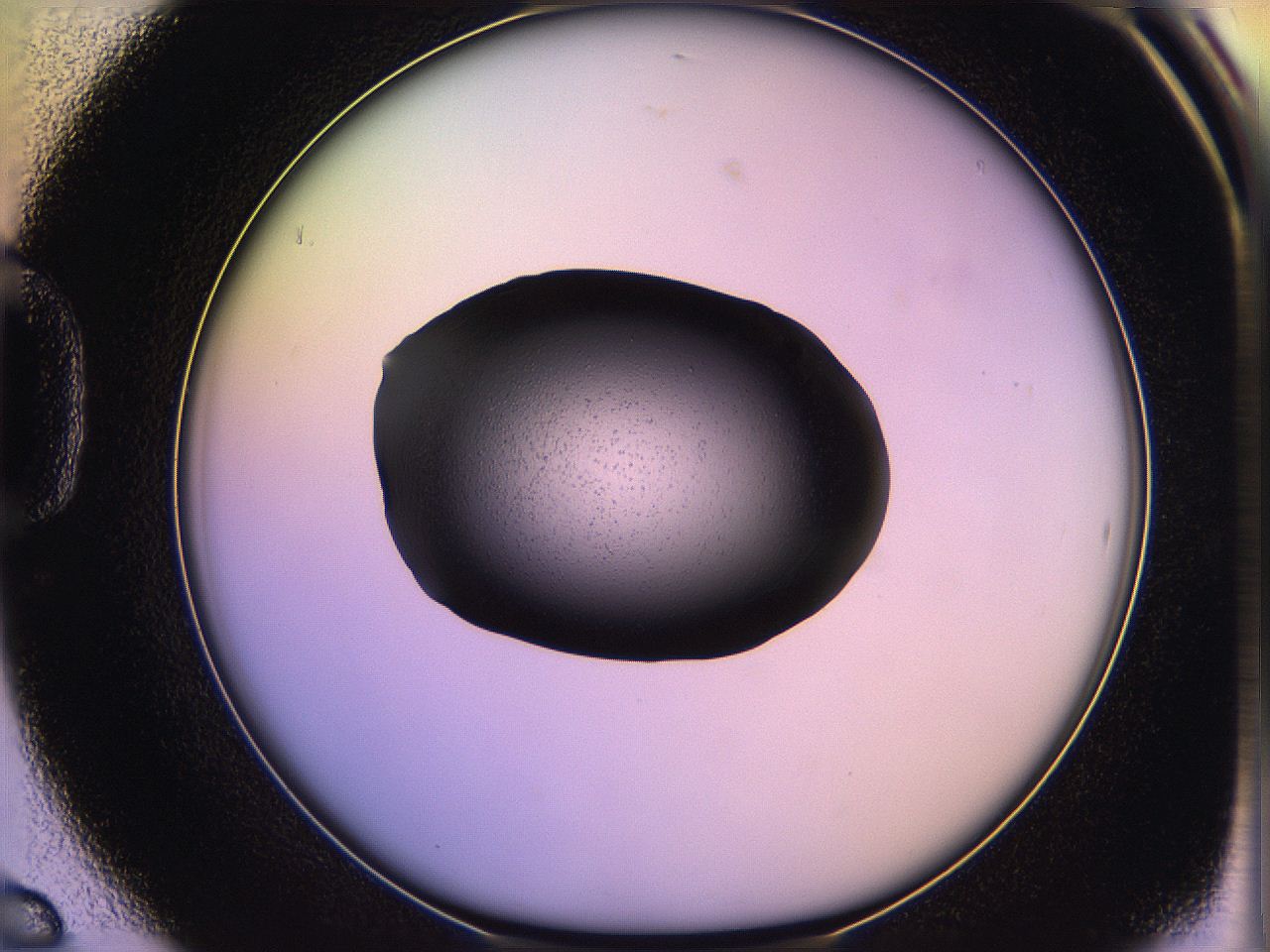 05qn_D6_ImagerDefaults_2.jpg