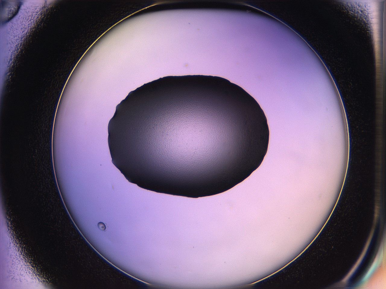 05qn_D6_ImagerDefaults_3.jpg