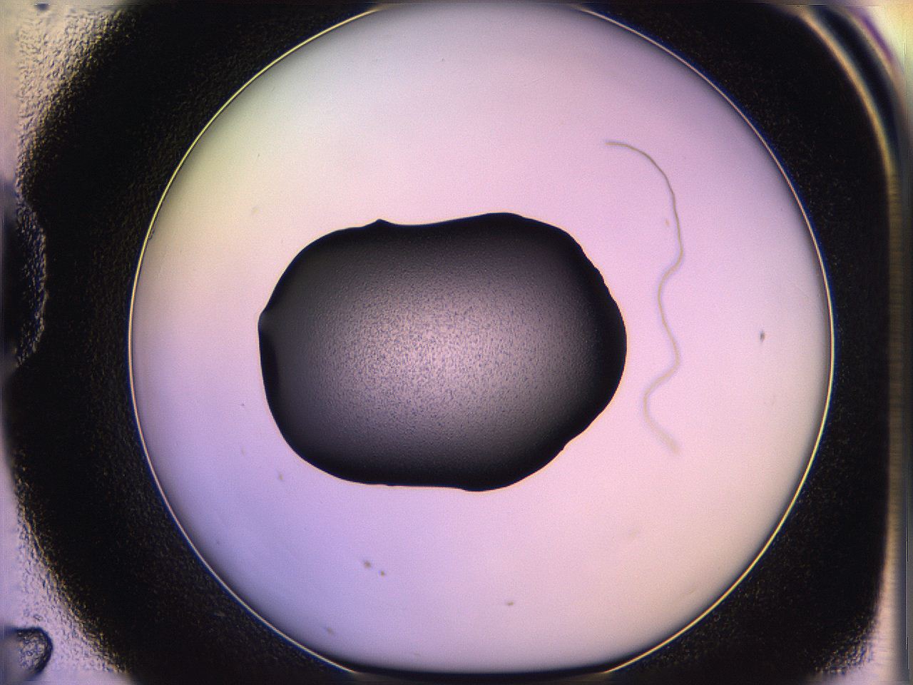 05qn_D7_ImagerDefaults_3.jpg