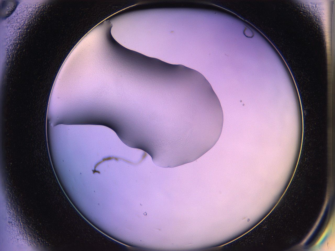 05qn_D8_ImagerDefaults_2.jpg