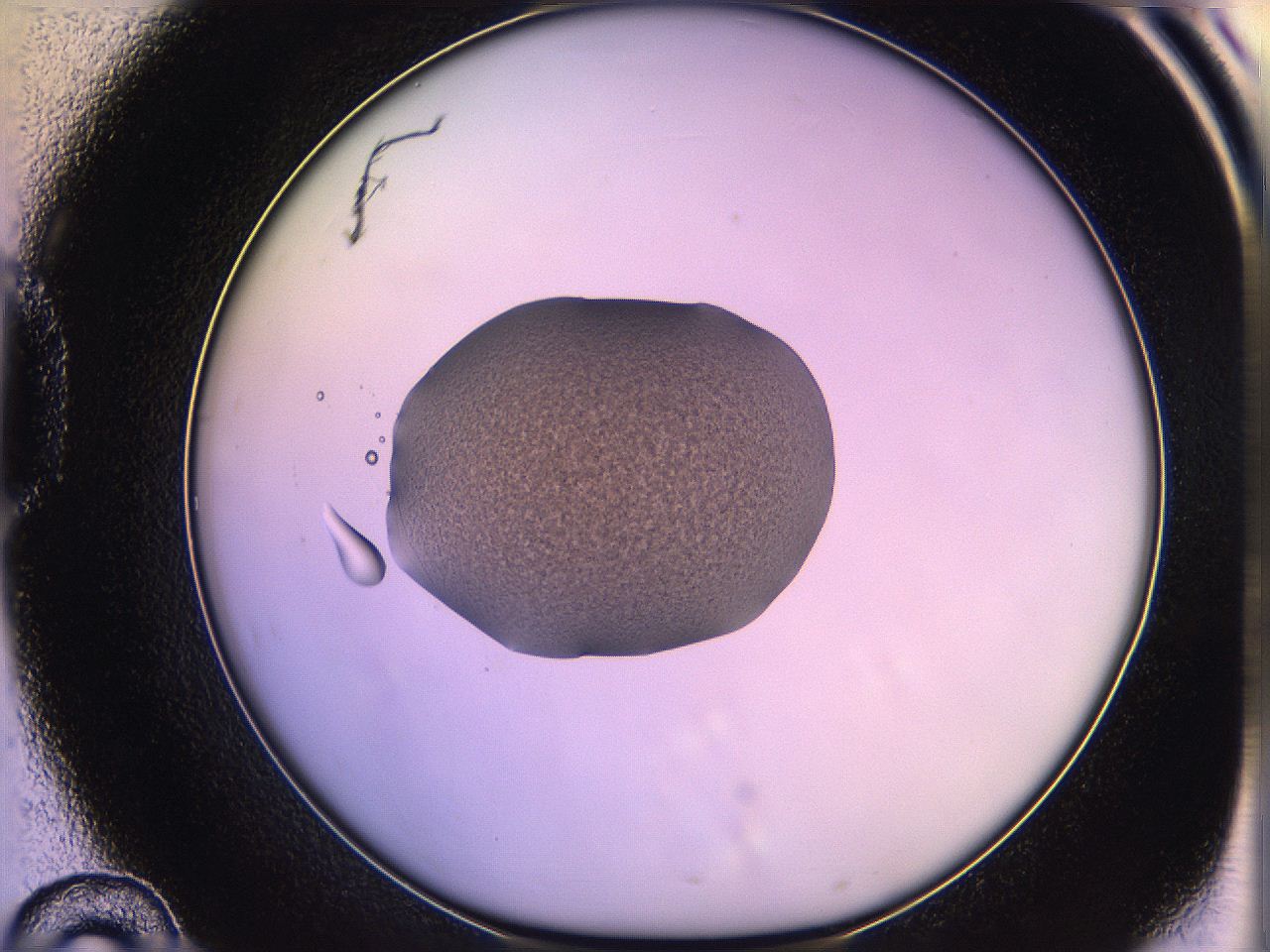 05qn_D10_ImagerDefaults_3.jpg