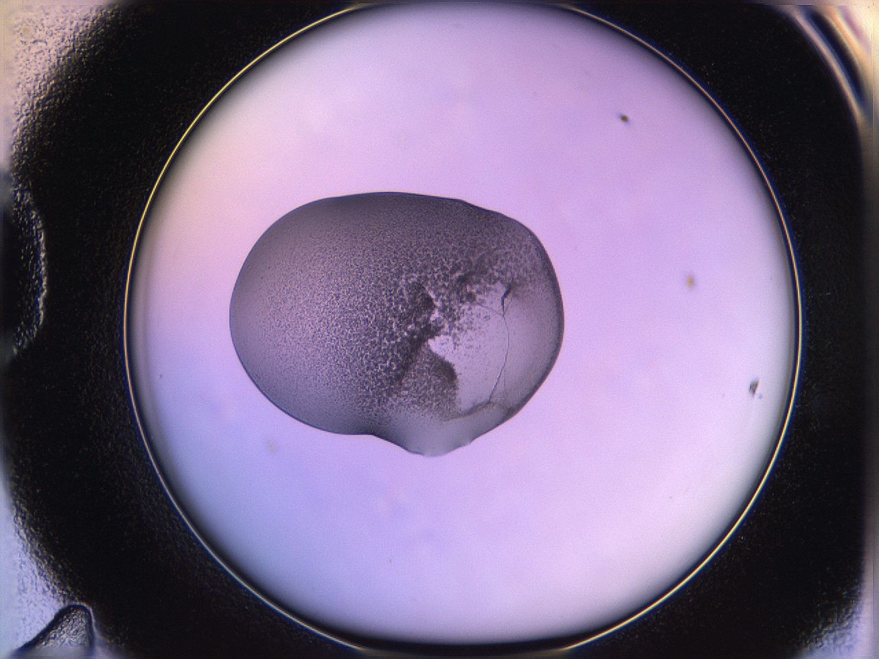 05qn_D11_ImagerDefaults_3.jpg