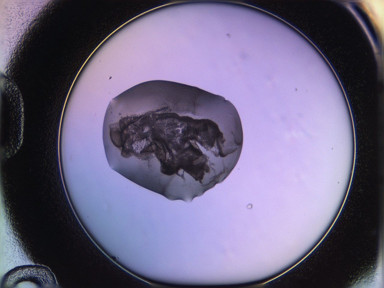 05qn_D12_ImagerDefaults_3.jpg
