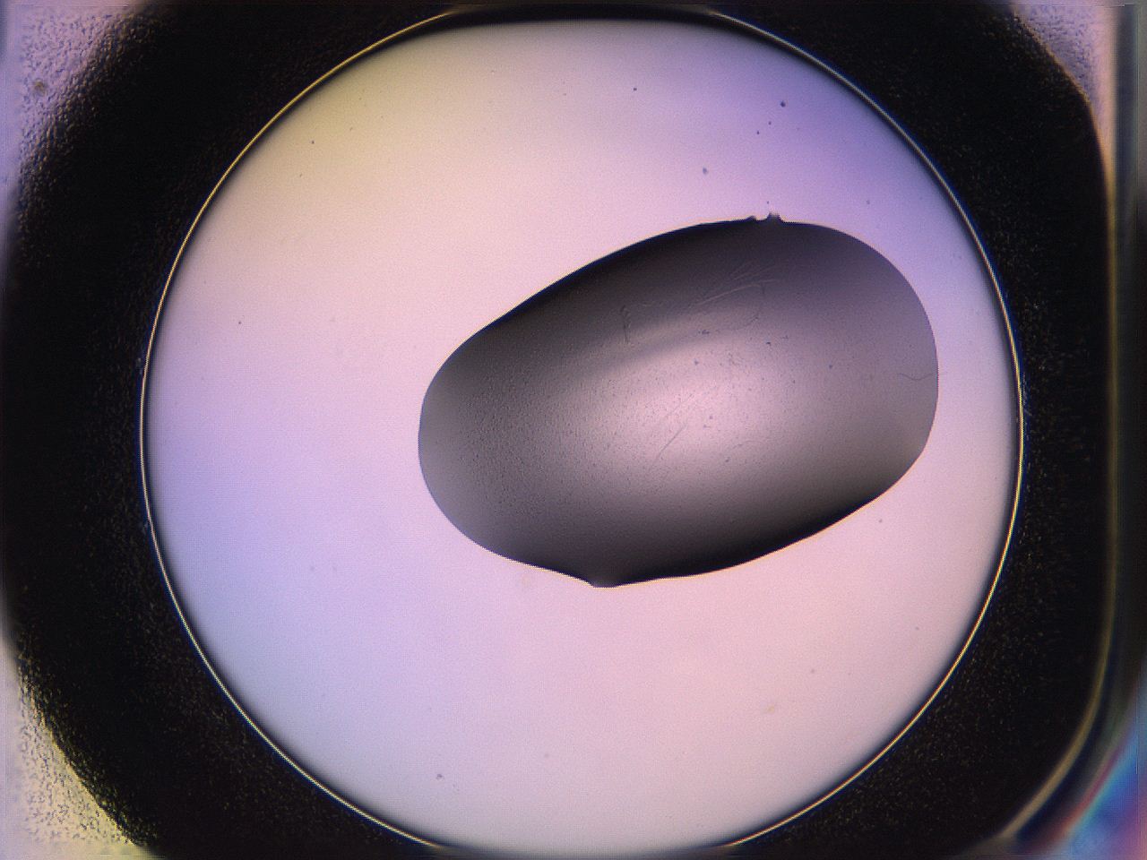 05qn_E1_ImagerDefaults_2.jpg