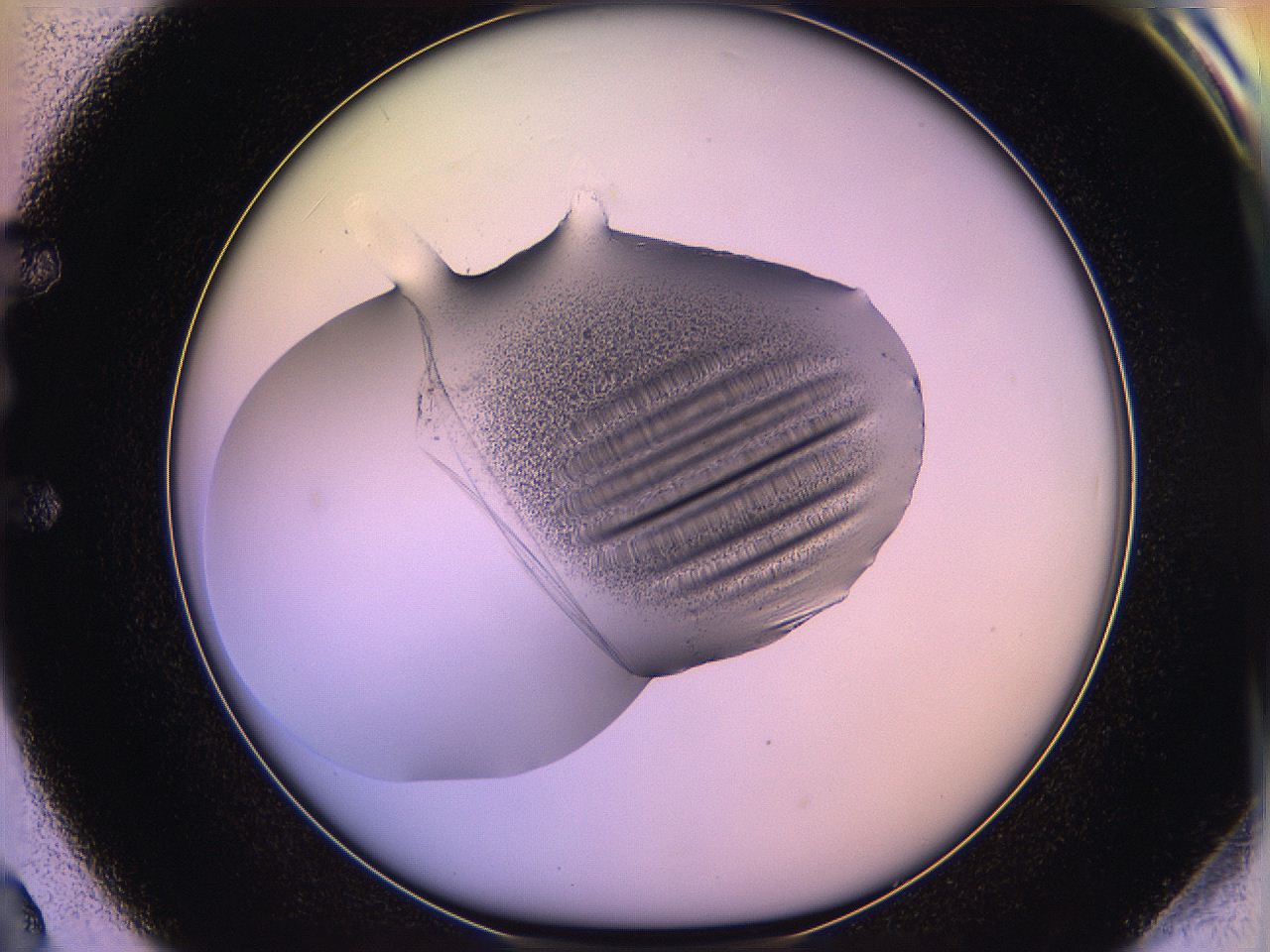 05qn_E2_ImagerDefaults_3.jpg