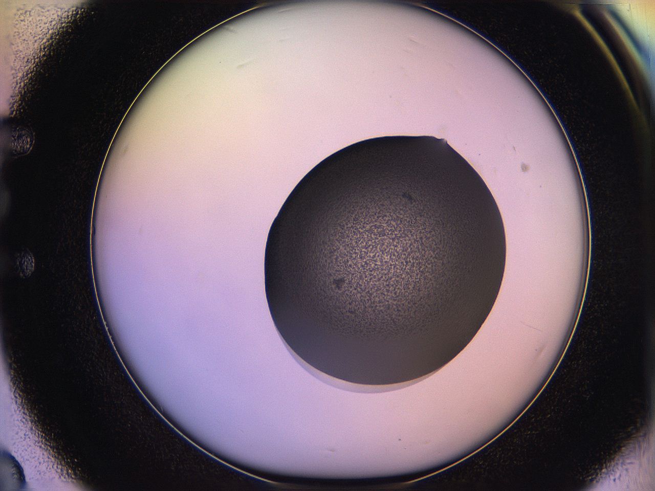 05qn_E3_ImagerDefaults_3.jpg