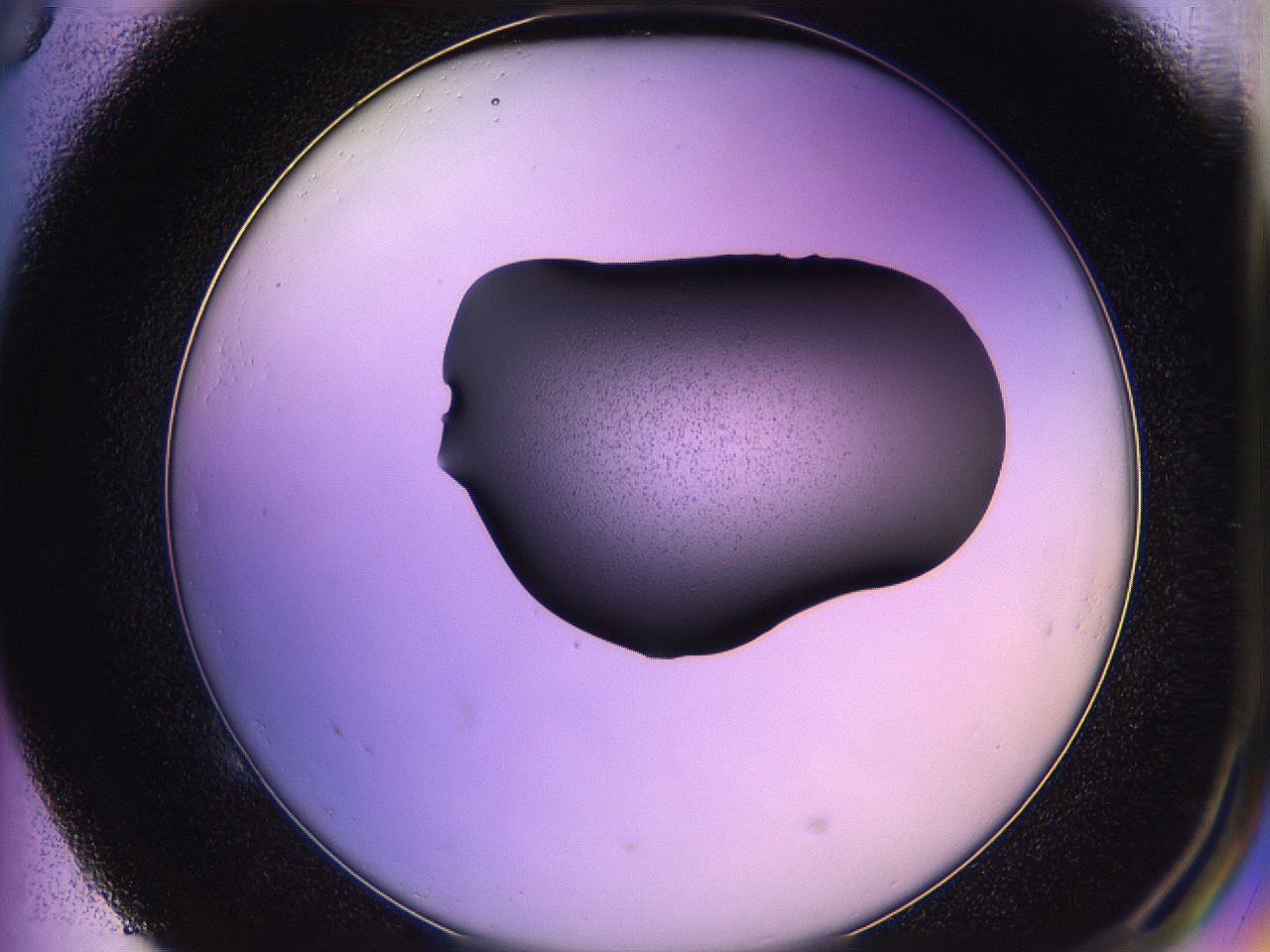 05qn_E5_ImagerDefaults_2.jpg