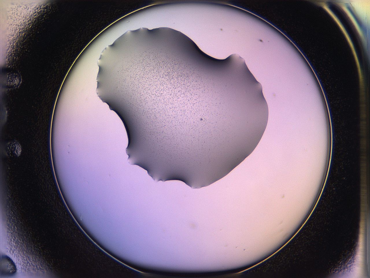 05qn_E6_ImagerDefaults_3.jpg