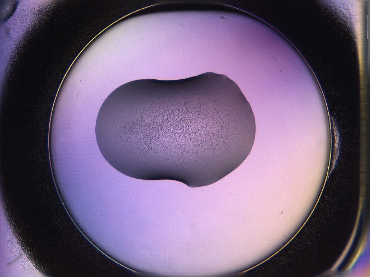 05qn_E6_ImagerDefaults_2.jpg