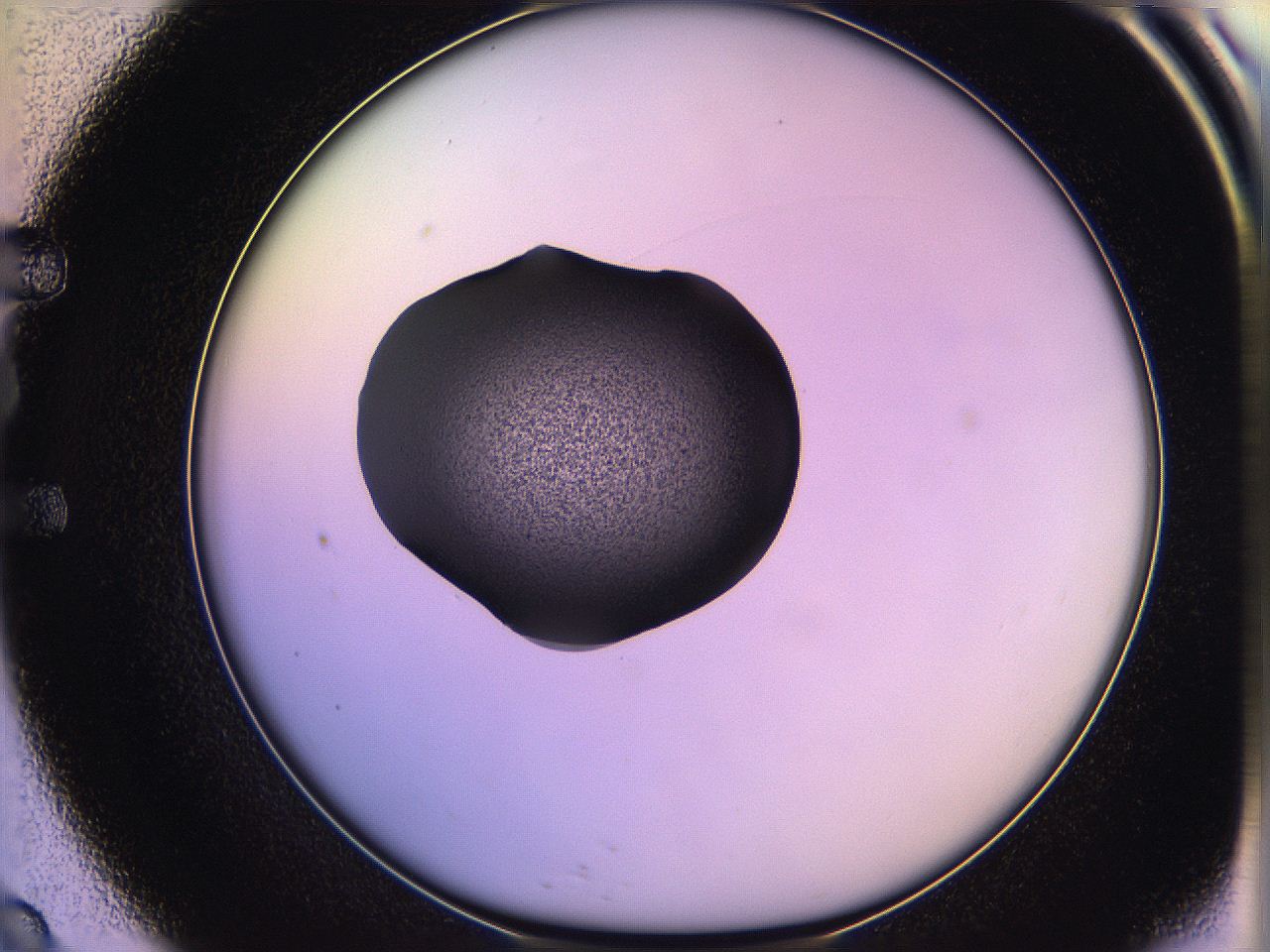 05qn_E9_ImagerDefaults_3.jpg