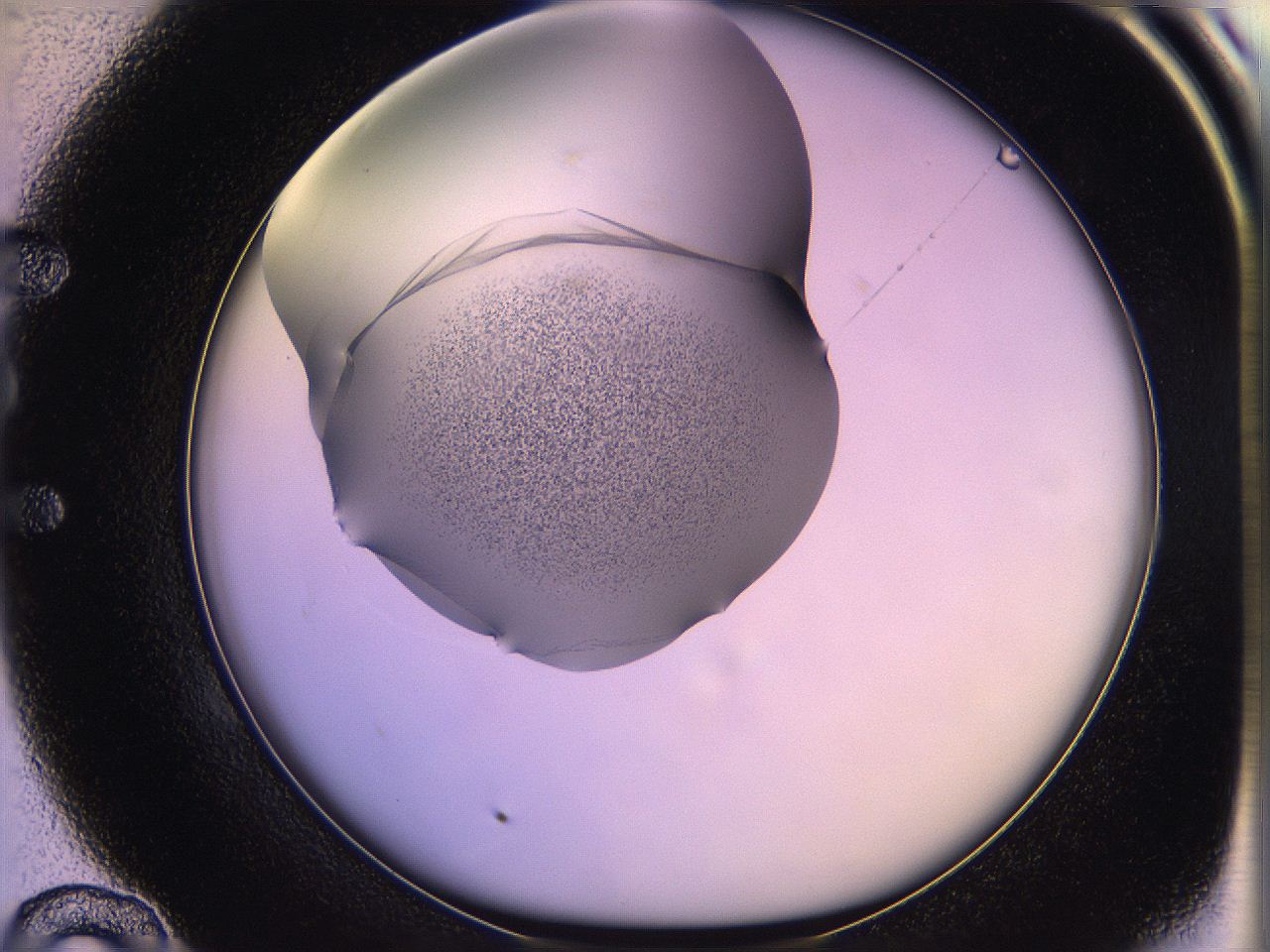 05qn_E10_ImagerDefaults_3.jpg