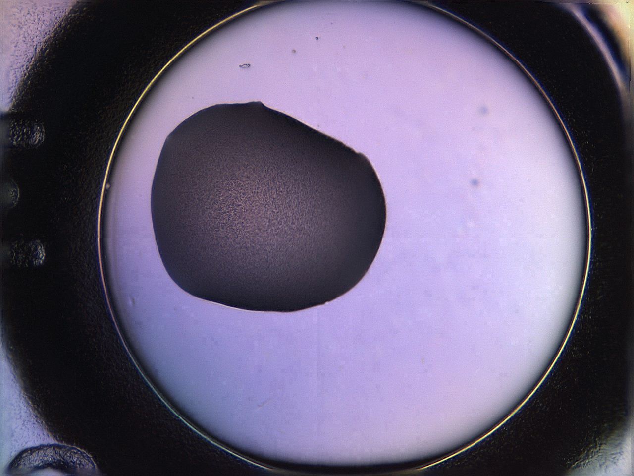 05qn_E12_ImagerDefaults_3.jpg