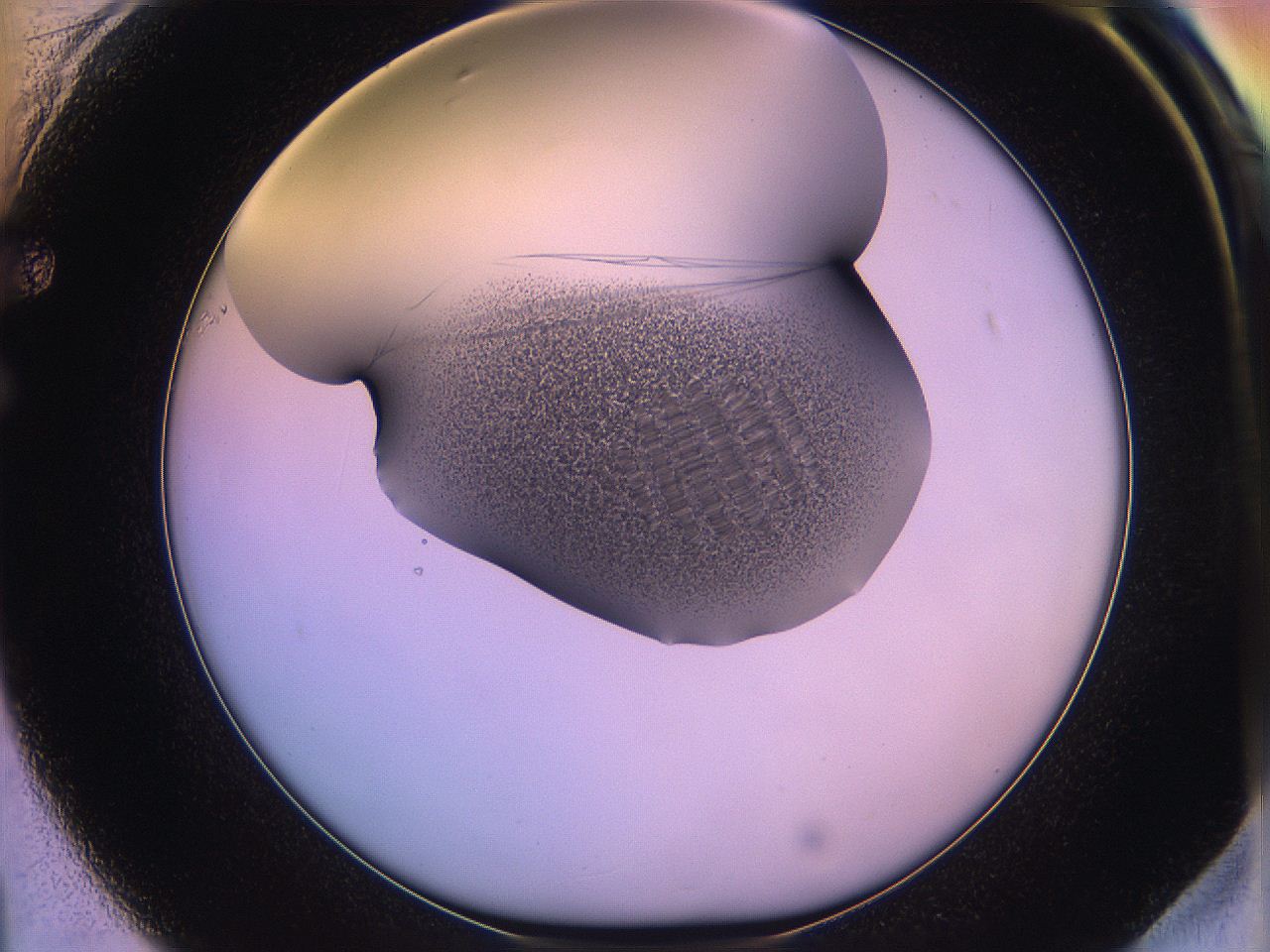 05qn_F1_ImagerDefaults_3.jpg