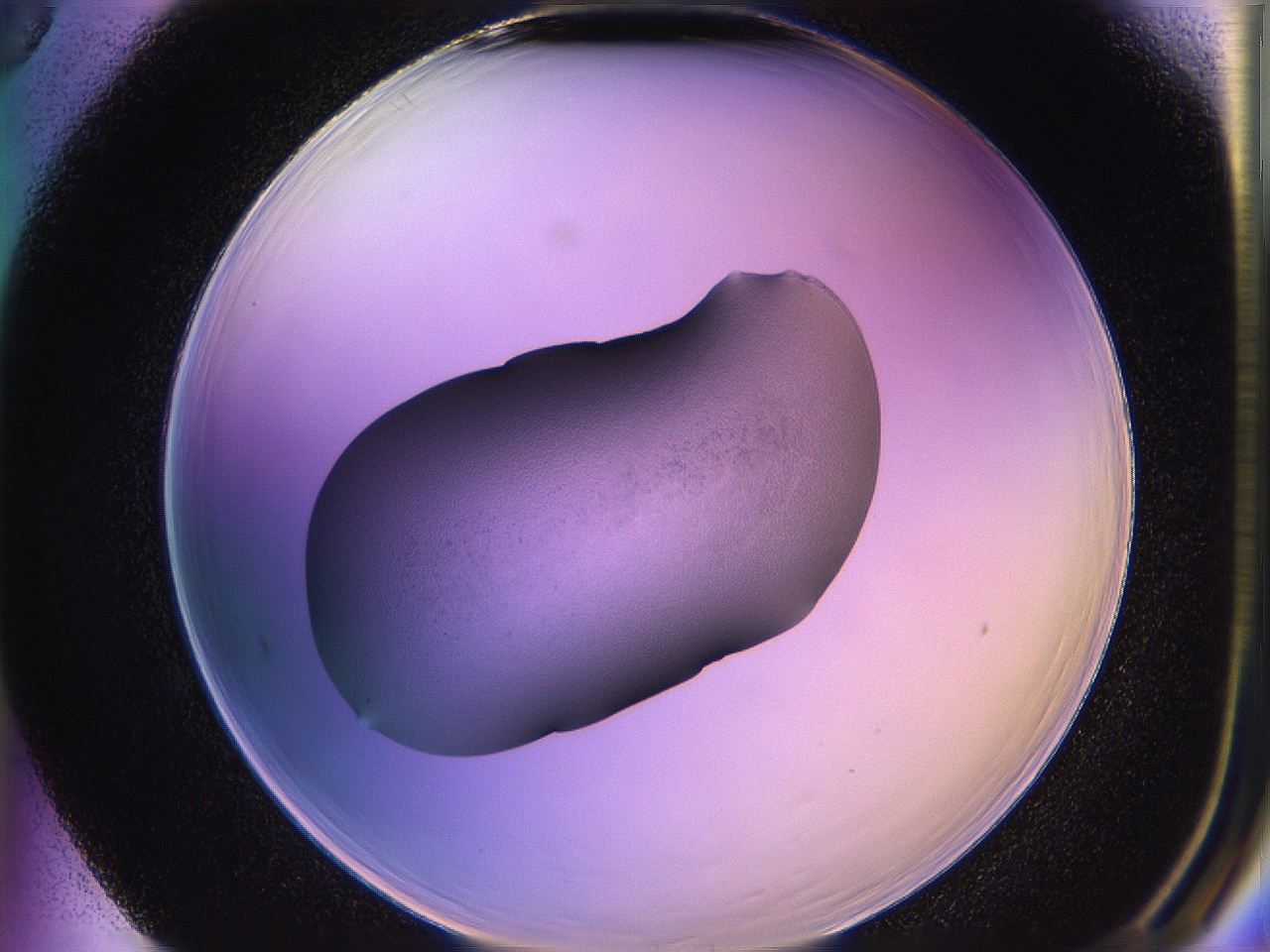 05qn_F5_ImagerDefaults_3.jpg