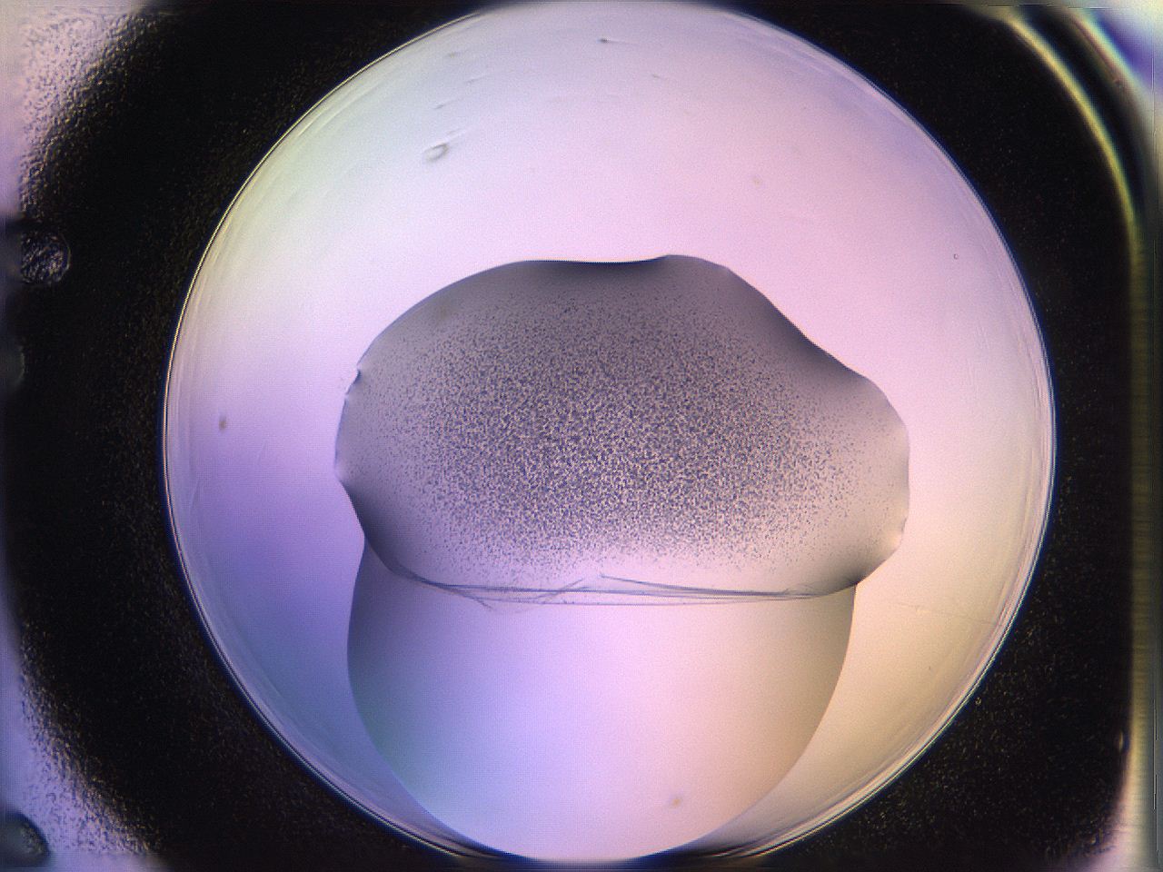 05qn_F6_ImagerDefaults_3.jpg