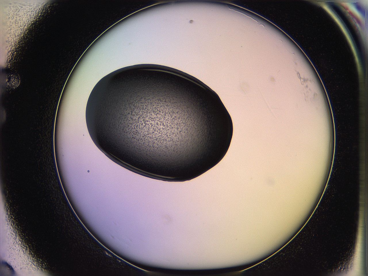 05qn_F8_ImagerDefaults_3.jpg