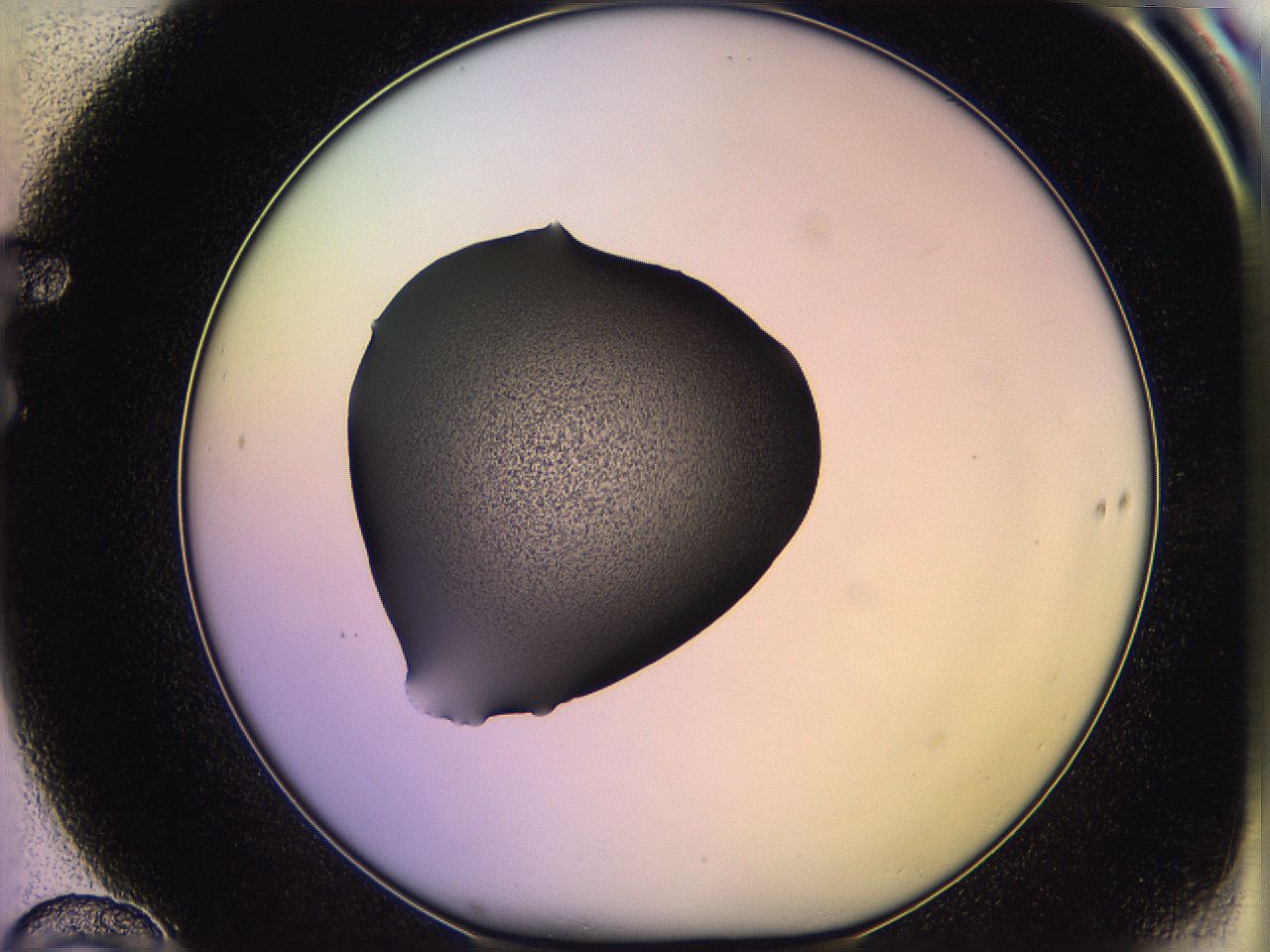 05qn_F10_ImagerDefaults_3.jpg