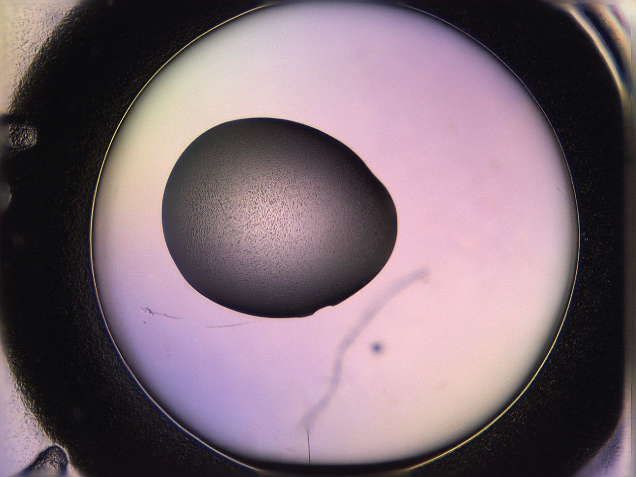 05qn_F11_ImagerDefaults_3.jpg