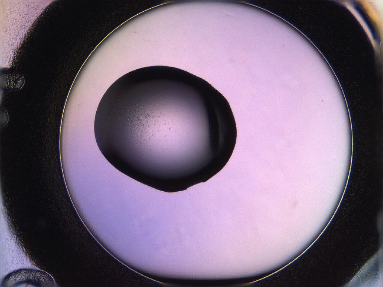 05qn_F12_ImagerDefaults_3.jpg