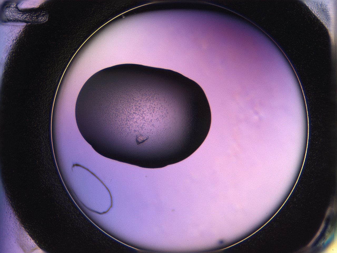05qn_F12_ImagerDefaults_2.jpg