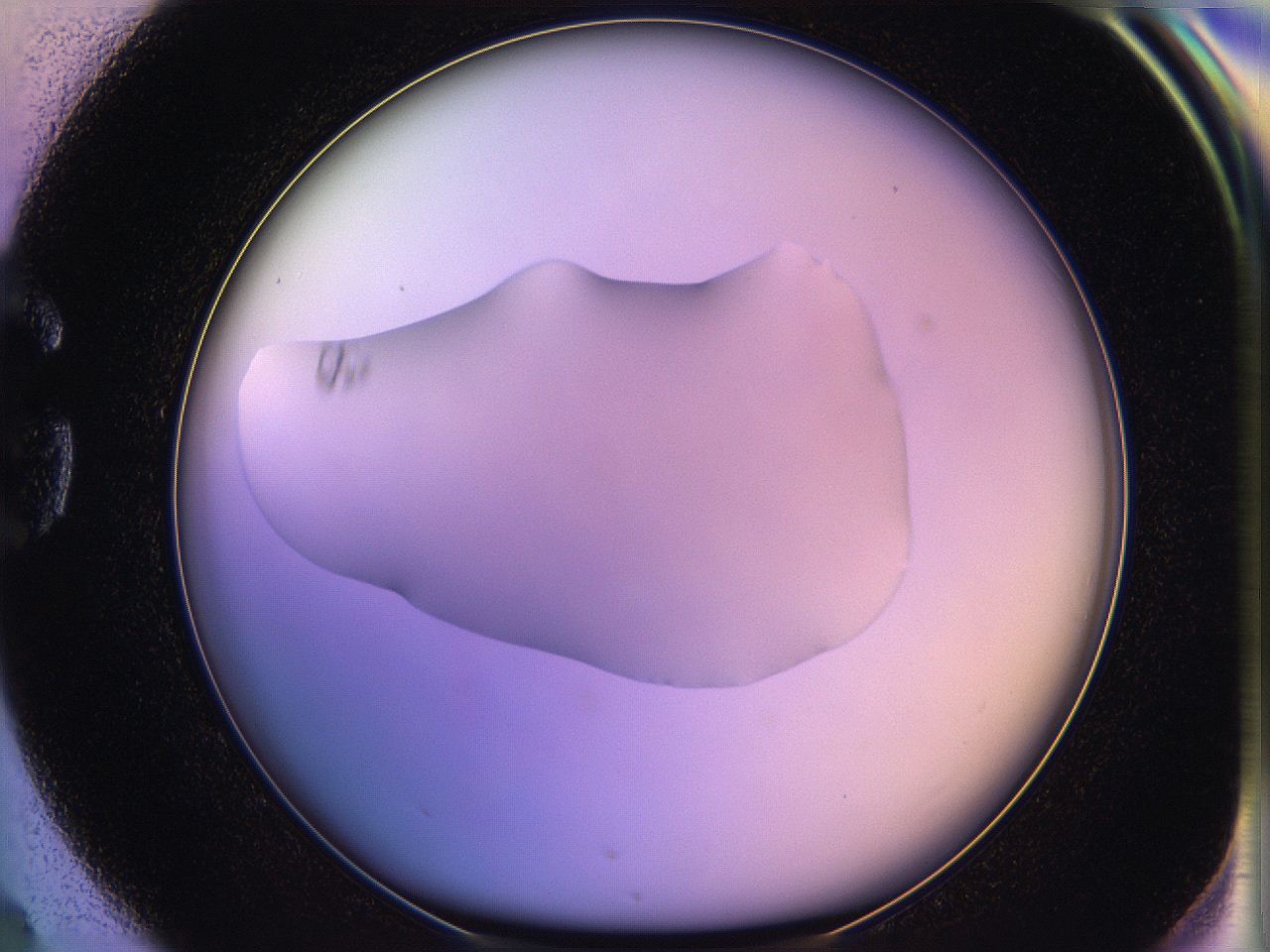 05qn_G4_ImagerDefaults_1.jpg